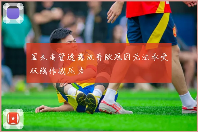 国米高管透露放弃欧冠因无法承受双线作战压力