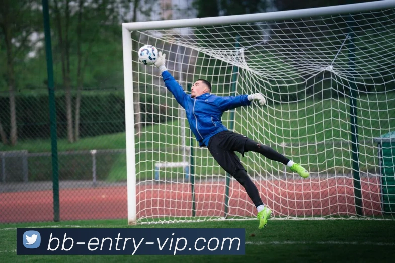 贝博bb官网APP 封面图